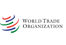 Exciting Internship Opportunity at the WTO: Gain Global Experience in the Multilateral Trading System