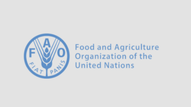 Food and Agriculture Organization (FAO)