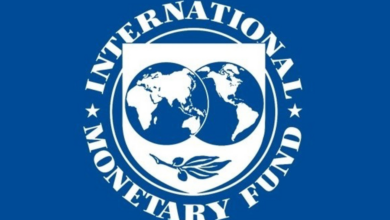 The International Monetary Fund (IMF)