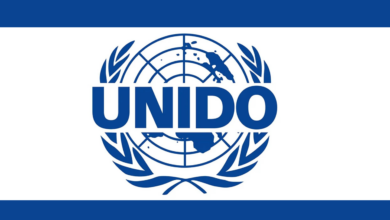 The United Nations Industrial Development Organization (UNIDO)