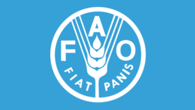 FAO Recruitment