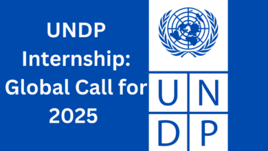 UNDP Digital Transformation Internship: Global Call for 2025