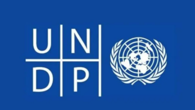 United Nations Development Programme (UNDP)