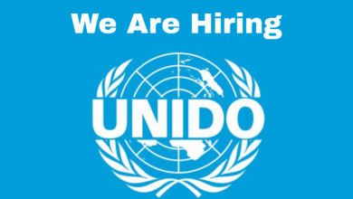 High Paying Remote Job Opportunities at UNIDO: Open to all Nationalities
