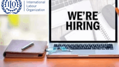 x186 Open Vacancies at the International Labour Organization: Global Call