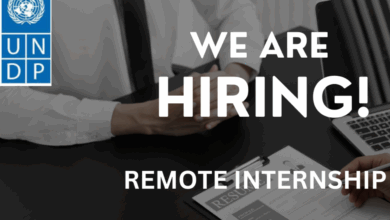 Work Remotely: UNDP Digital Transformation Internship: Global Call for 2025