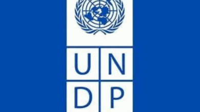 United Nations Development Programme (UNDP) Digital Transformation Internship: Global Call for 2025