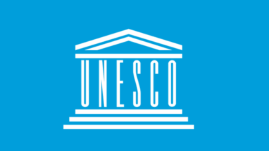 UNESCO Invites Applications for Consultant Roles Worldwide
