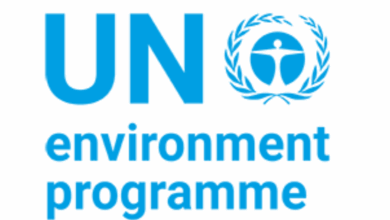 UNEP is Hiring with Over 450 Open Vacancies Across the Globe