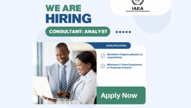 IAEA is Hiring for a Consultant - Daily Fee Up to €300 (Home-Based)