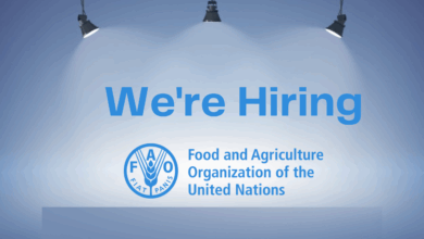 FAO Announces Home-Based Job Opportunities Worldwide