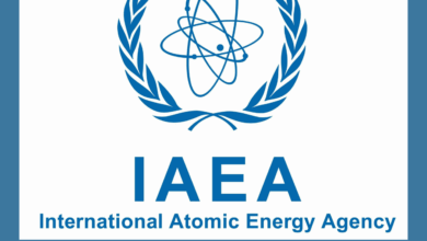 Multiple Internship Opportunities at IAEA: Apply Now