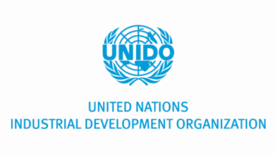 UNIDO is Hiring for a Senior Expert in Climate Innovation and Adaptation – Roster