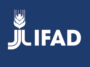 IFAD is Hiring Talented Professionals Worldwide