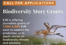 Biodiversity Story Grants 2026: Funding Opportunity for Journalists to Report on Global Nature Crisis