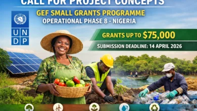 UNDP GEF Small Grants Programme Phase 8 Opens Funding of Up to $75,000 for Community Projects 2 UNDP GEF Small Grants Programme Phase 8 Opens Funding of Up to $75,000 for Community Projects