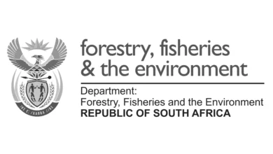 DFFE EPWP Project Support Jobs 2026 Open in Pretoria With R8 800 Monthly Stipend 4 Department of Forestry, Fisheries and the Environment