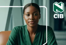 Nedbank CIB Young Analyst Programme 2026: Apply Now